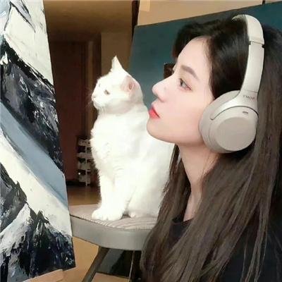 世界的角落是晚餐